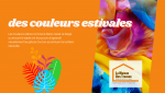 Des couleurs claires pour un intérieur lumineux : suivez les conseils de Gérald Schneider, courtier à Vesoul – La Maison Des Travaux.