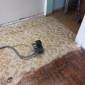 Remplacement de sol par du carrelage