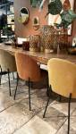 Ensemble de chaises coloris automnal