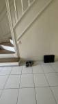 Sous escalier avant