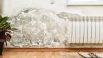 Mur humide Dax