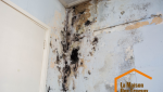 AVANT Humidité dans les murs de la pièce principale