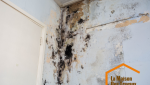 AVANT Humidité dans les murs de la pièce principale