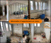 Travaux de rénovation d'appartement en cours -Montauban 82000