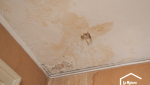 Plafond humides et moisis