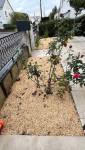 Aménagement d'un jardin sec - Nantes 44