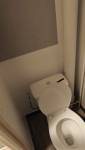 Remplacement de WC, reprise enduits et peinture 