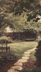 Vieux jardin à rénover