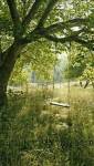 jardin vieillissant Dax