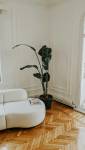 Un salon tout en apaisement à Versailles
