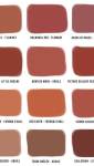 Palette des teintes Terracotta