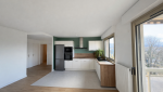 Ouverture de cuisine sur salon Tassin-La-Demi-Lune 69160
