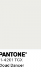 Cloud Dancer Pantone