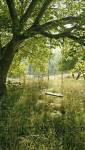jardin vieillissant Dax