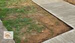 Préparation du terrain avec décaissement et traçage précis pour la création d’un futur chemin en béton à Le Passage (47520).