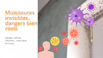  Moisissures invisibles, dangers bien réels : protégez votre santé avec une ventilation adaptée.