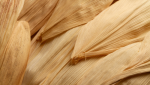 déco naturelle 