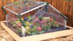 serre de jardin en polycarbonate