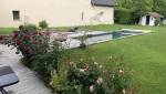 Piscine contemporaine réalisée à La Côte-Saint-André avec aménagement extérieur complet pour créer un véritable lieu de vie en plein air.