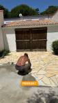 Renovation terrasse à La Palmyre