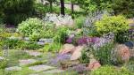 Jardin minéral avec massifs et arbustes