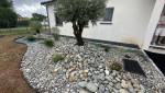 Jardin zen : massif de galets et olivier – Bressols (82)