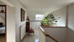 lucarne