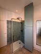 Douche cabine laiton et zellige vert sauge, rénovation salle de bain Paris 19