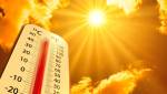 Canicule Vincennes