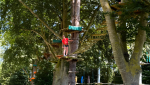 Courtier en travaux 