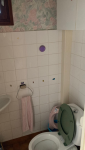 Rénovation d’une salle de bains avec WC à Fraisse (42490)