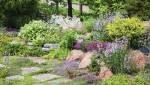Jardin minéral avec massifs et arbustes