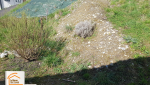 travaux extérieur Albertville Moûtiers, terrain difficile accès maison, terrassement terrain pente, aménagement jardin Savoie, courtier en travaux extérieur