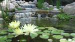 bassin sur plusieurs niveaux, avec cascade