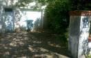 Avant travaux : portail à St Herblain (44)