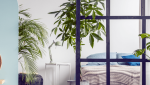 Verrière appartement Haguenau