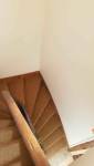 Sisal