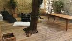 Terrasse extérieure arrière