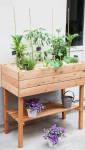 Aménagement d'un potager sur sa terrasse ou son balcon