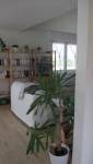 Rénovation parquet, peinture à Uffholtz