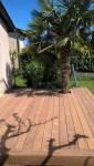 Terrasse Bois Cumaru, intégration du palmier existant