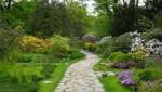 aménagement allée de jardin