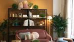 Décoration - salon en velours - 