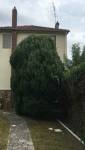 Jardin avant travaux (Montgeron 91230)