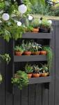 Aménagement d'un potager sur sa terrasse ou son balcon
