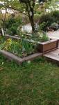 Bac à fleurs en bois massif et terrasse bois exotique à Brunstatt