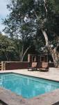 Une piscine dans un jardin provençal 