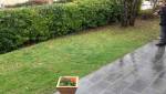Quel matériau pour ma terrasse Poissy ? 