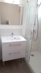 Petite salle de bain avec douche et meuble vasque