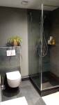 Douche, carrelage, toilettes à Sausheim
